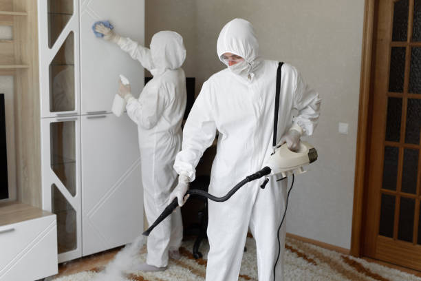 Mold Removal Process in Lovington, IL