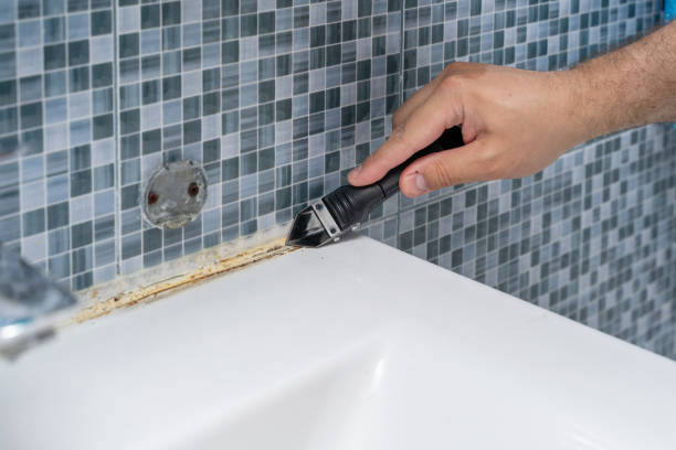 Trusted Lovington, IL Mold Removal Experts